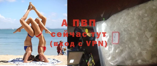 сатива Аркадак