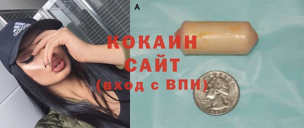 сатива Аркадак