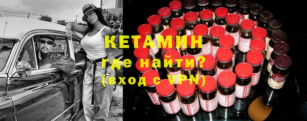 сатива Аркадак