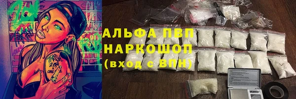 сатива Аркадак