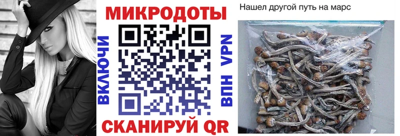 Галлюциногенные грибы ЛСД  Кондрово 
